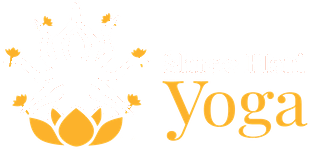 shylogo-website-white | Yoga Teacher Training in India at Shree Hari School | Certified YTT course