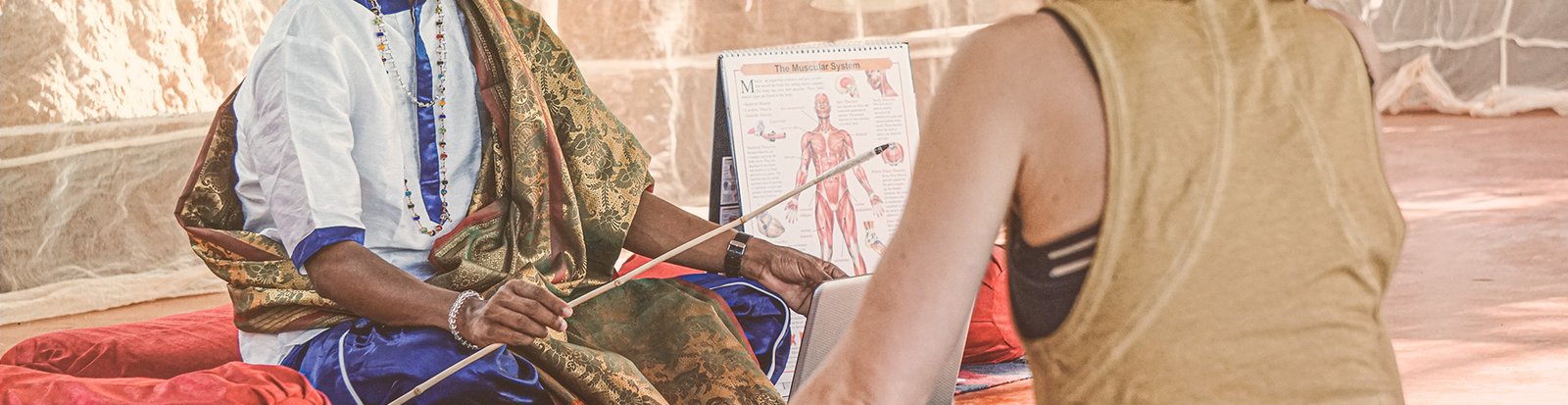 Anatomy and Phisiology Teacher Training Banner