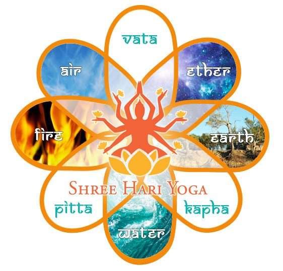 shree hari yoga teacher training in india