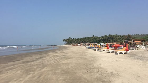 Shree Hari Yoga Teacher Training in Ashvem Beach Goa India