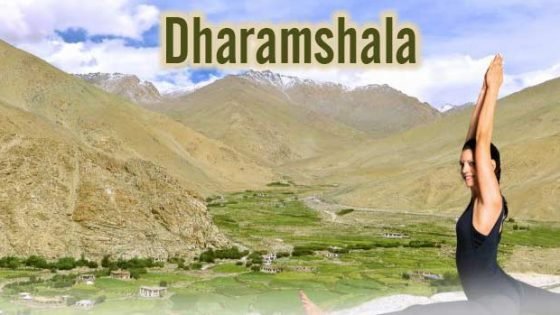 Shree Hari Yoga teacher training in Dharamshala India