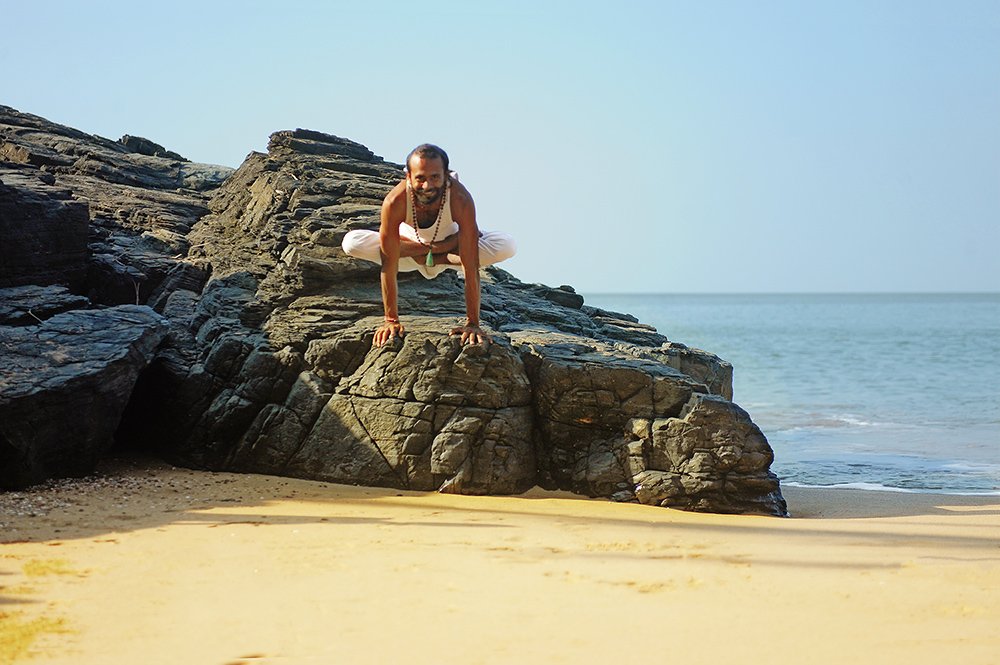 Urdhva Kukkutasana, Upward Cock Pose, advanced asana tought by shree hari yoga centre
