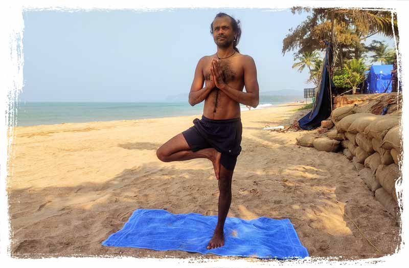 tree pose of yoga master hari