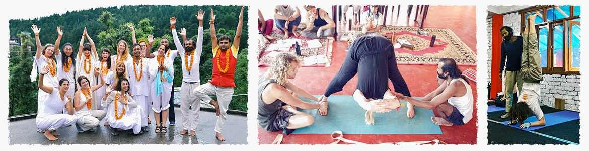 50hrbanner_f6 | Yoga Teacher Training in India at Shree Hari School | Certified YTT course shree hari yoga Banner image
