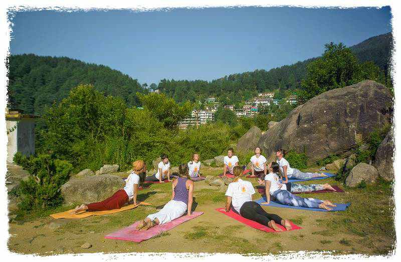 group of Yoga students do cobra pose