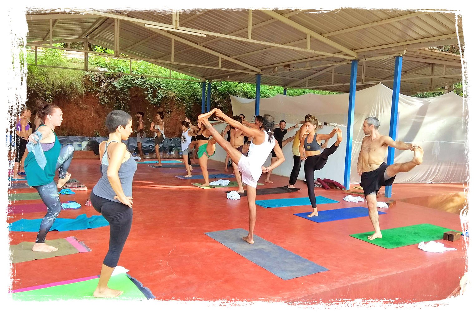 ballancinghariclass | Yoga Teacher Training in India at Shree Hari School | Certified YTT course Ashtanga yoga outdoor