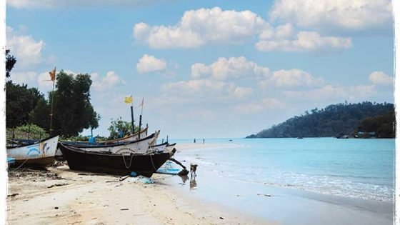 boats on the beach in Goa