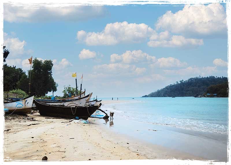 boats on the beach in Goa
