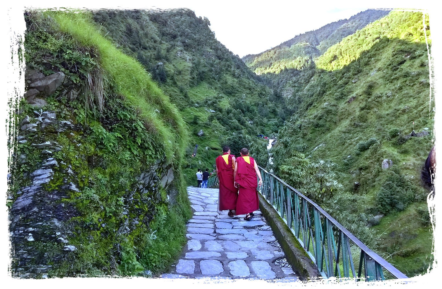 budhistdharamsala | Yoga Teacher Training in India at Shree Hari School | Certified YTT course Monks in Dharamshala