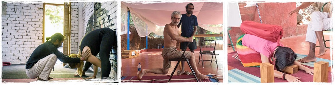 personalbanner | Yoga Teacher Training in India at Shree Hari School | Certified YTT course yin yoga of shree hari yoga