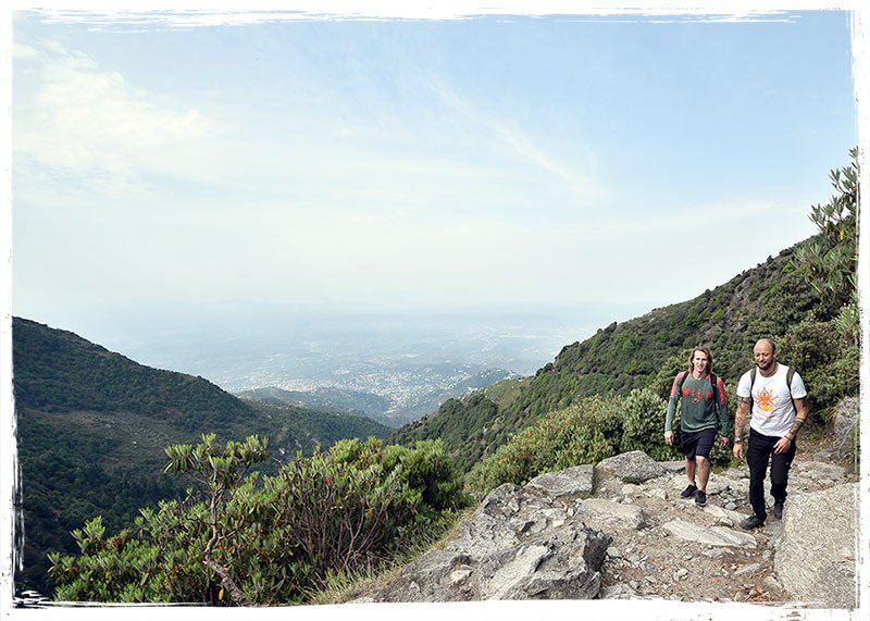 shytrekking | Yoga Teacher Training in India at Shree Hari School | Certified YTT course trekking in dharamshala