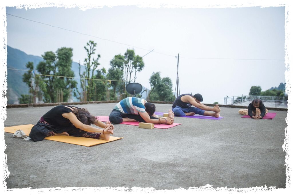 Vinyasa Yoga Teacher Training