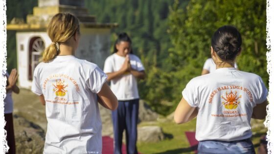 yoga teacher training india rishikesh | Shree Hari Yoga