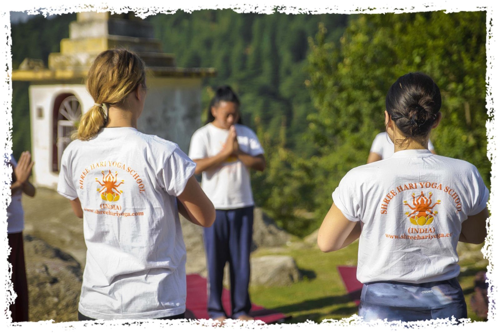 yoga teacher training india rishikesh | Shree Hari Yoga
