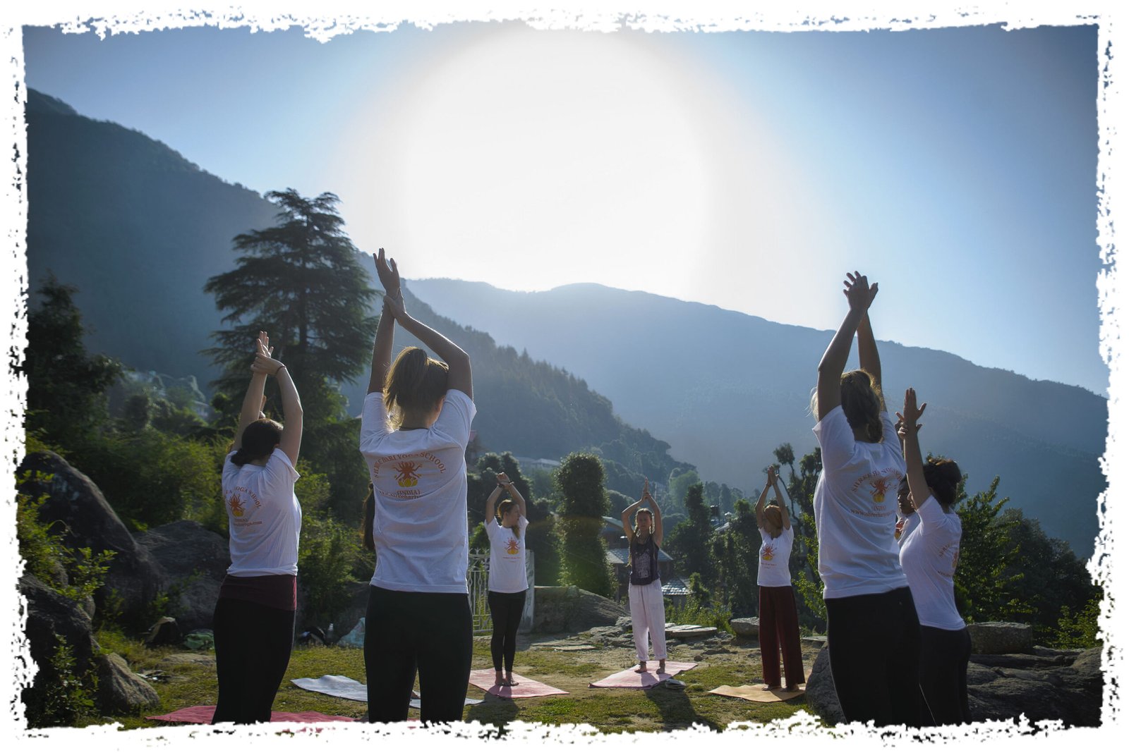 _ANF3638 | Yoga Teacher Training in India at Shree Hari School | Certified YTT course 50 Hour Yin Yoga Teacher Training