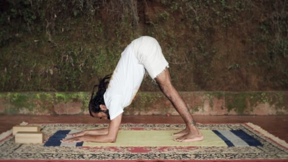 Ardha Pincha Mayurasana