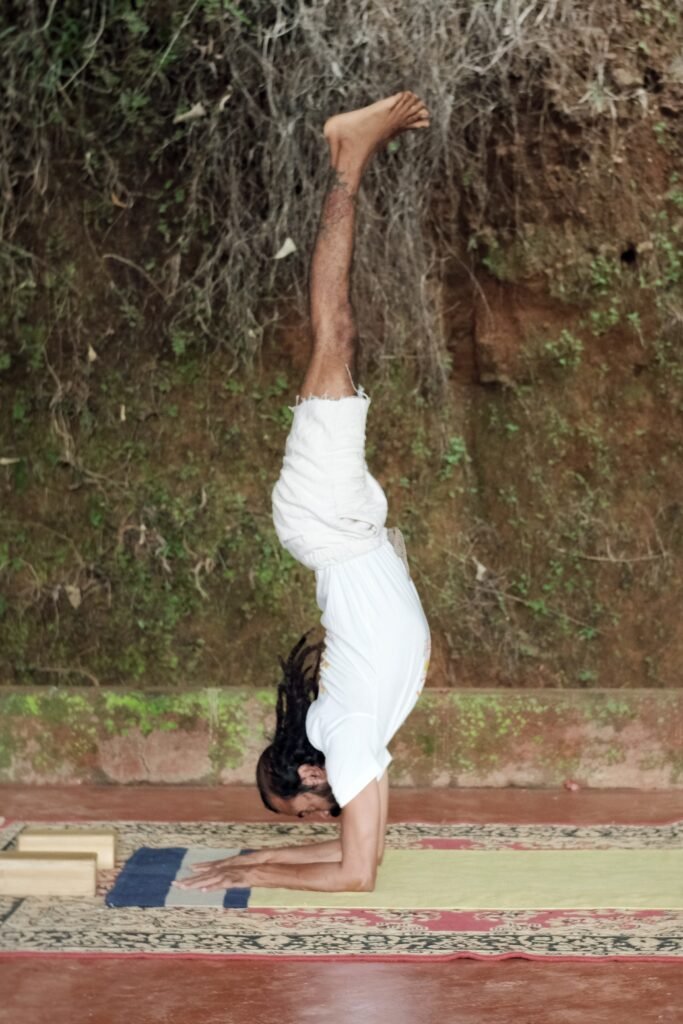 Pincha Mayurasana-2