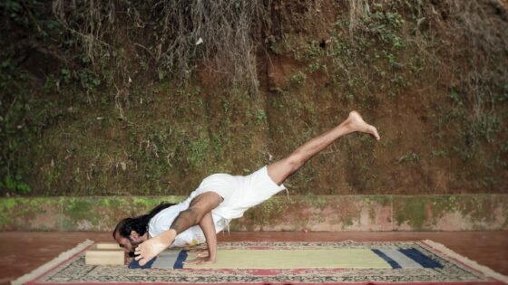 Eka Pada Koundinyasana