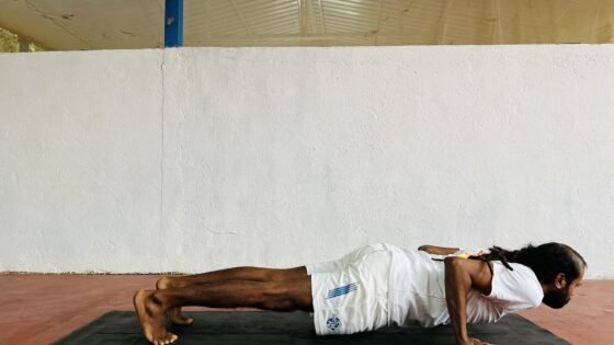 Four-limbed staff pose