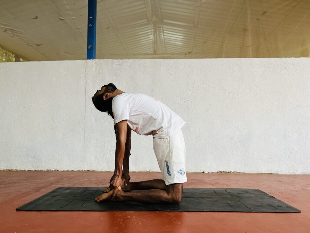 Ustrasana