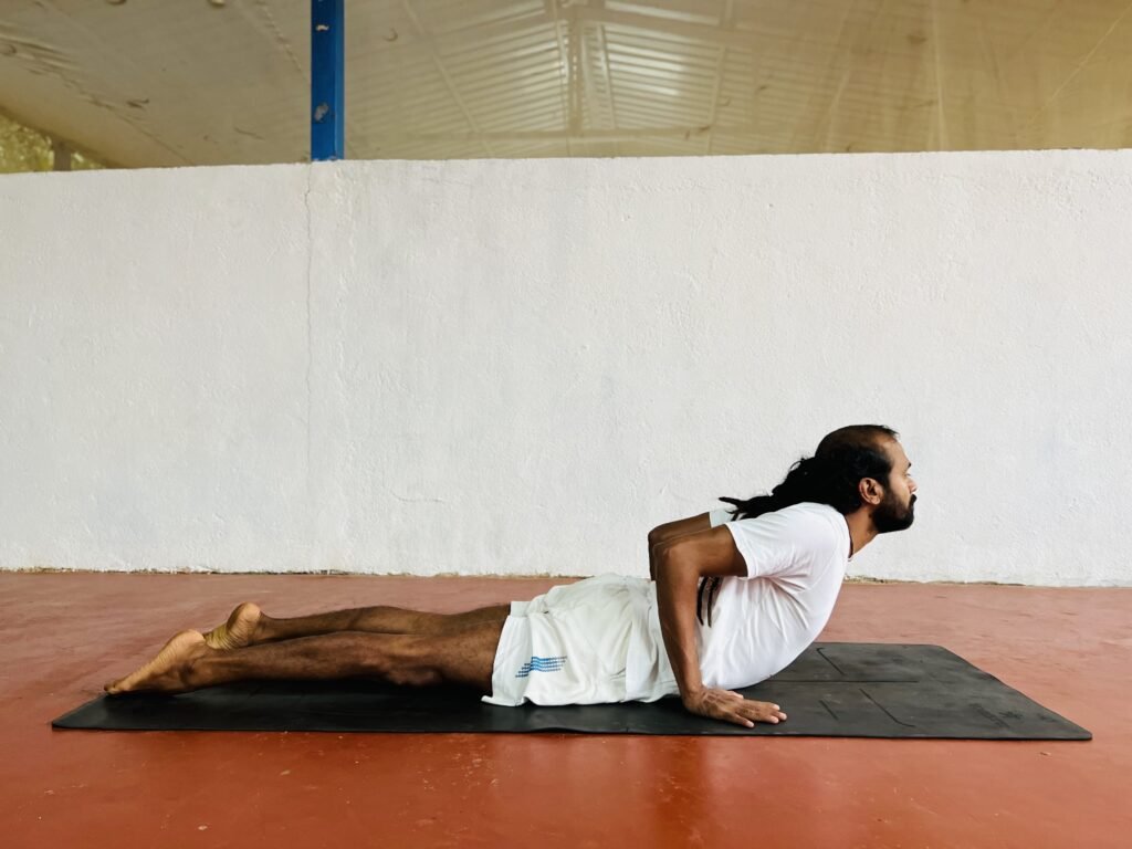 Bhujangasana