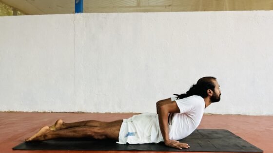 Bhujangasana