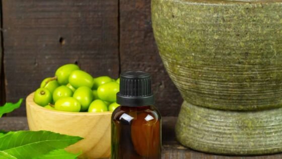 Ayurvedic Food Science and Cooking