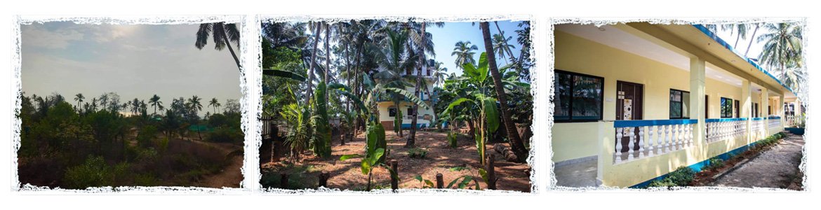 Shree hari Yoga Hostel