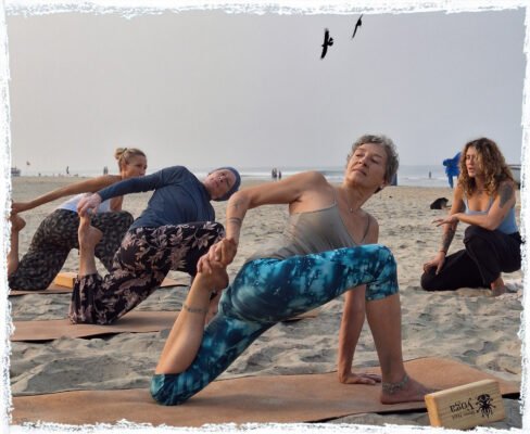 yoga | Yoga Teacher Training in India at Shree Hari School | Certified YTT course