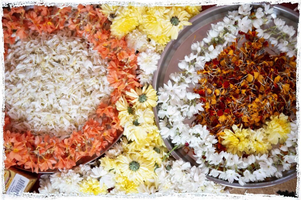 Yoga teacher training India Become a yoga teacher India Certified yoga teacher training India Hatha yoga teacher training India Vinyasa yoga teacher training India 200 hour yoga teacher training India 300 hour yoga teacher training India Yoga teacher training retreat India Yoga teacher training ashram India