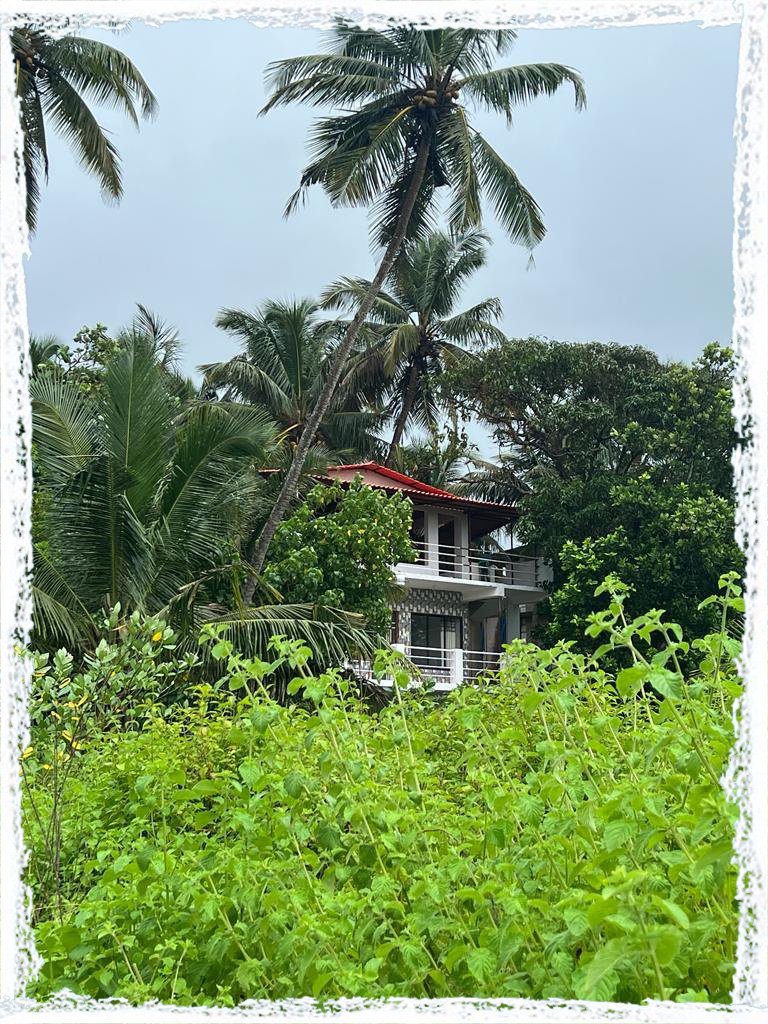 Yoga teacher training India Become a yoga teacher India Certified yoga teacher training India Hatha yoga teacher training India Vinyasa yoga teacher training India 200 hour yoga teacher training India 300 hour yoga teacher training India Yoga teacher training retreat India Yoga teacher training ashram India