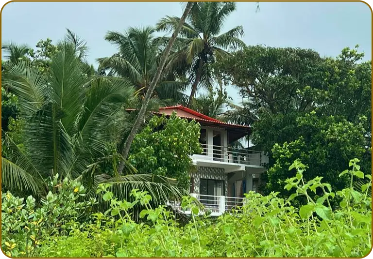 Our Beginnings - About us | Yoga Teacher Training in India at Shree Hari School | Certified YTT course