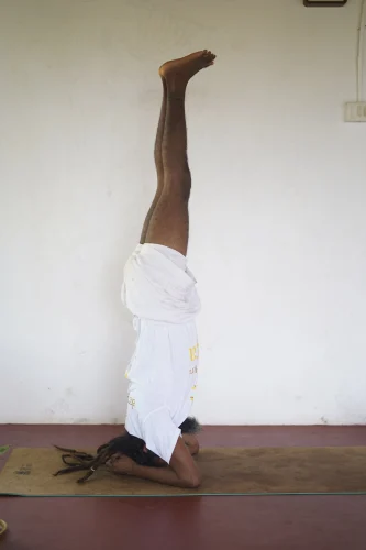 Sirsasana - Shree Hari Yoga | Yoga Teacher Training in India at Shree Hari School | Certified YTT course Sirsasana