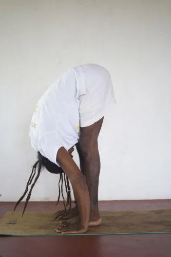 Uttanasana - Shree Hari Yoga | Yoga Teacher Training in India at Shree Hari School | Certified YTT course Uttanasana